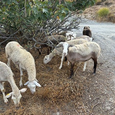 Cortijo La Vista Villa Órgiva Kültér fotó