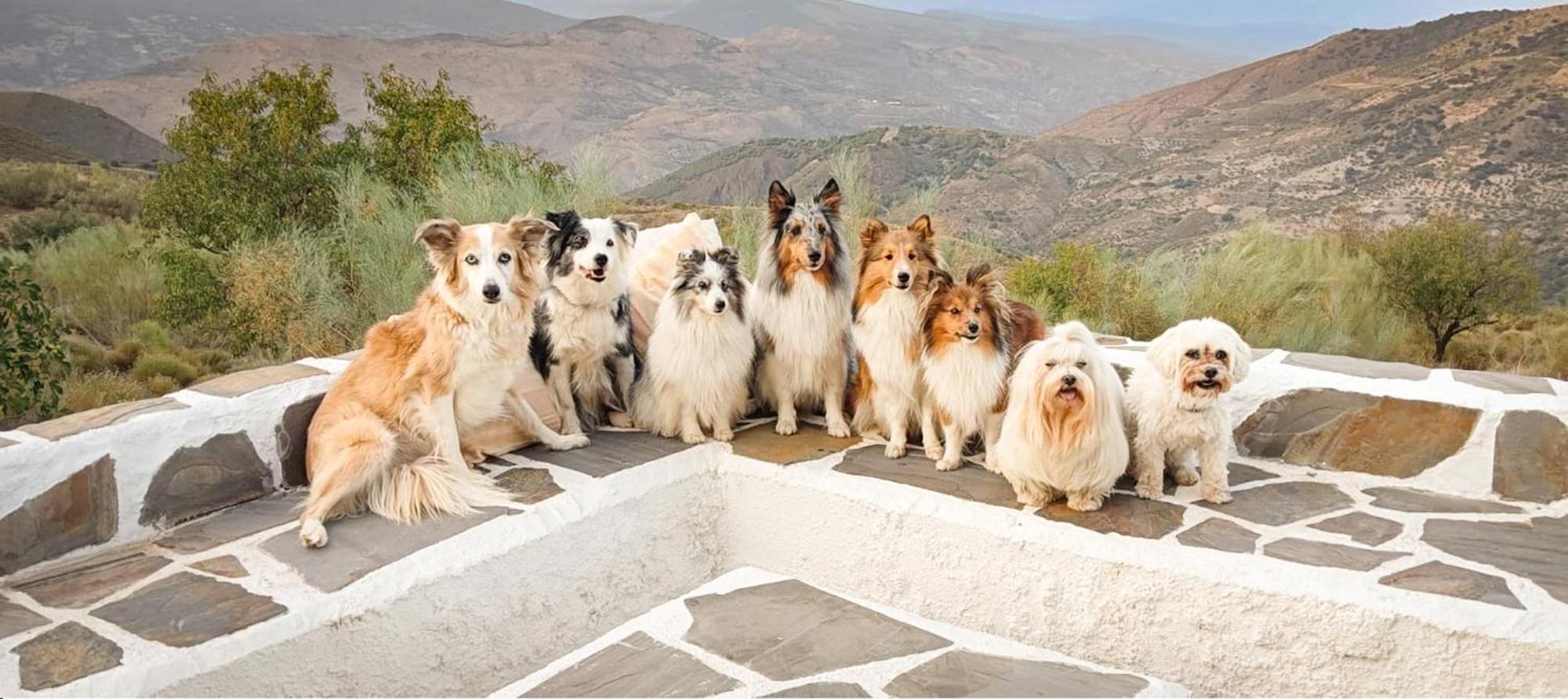 Cortijo La Vista Villa Órgiva Kültér fotó